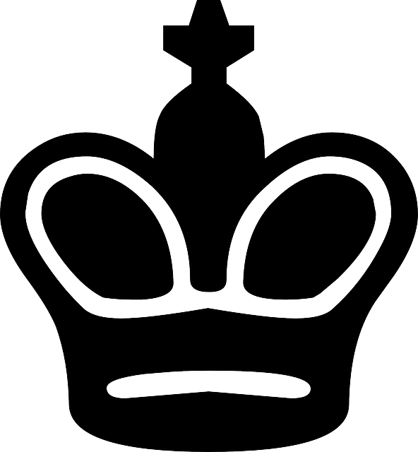 HVCSJ logo